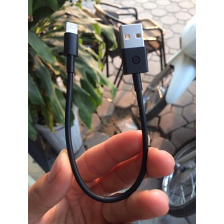 Cáp Lightning 20cm Chính Hãng BEATS ( Do Apple Sản Xuất )