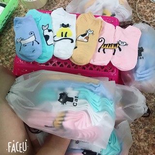 [shopee trợ giá] sét 10 đôi tất mèo cổ ngắn cho nữ