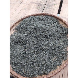Chè San Tuyết Hoàng Su Phì - Hà Giang