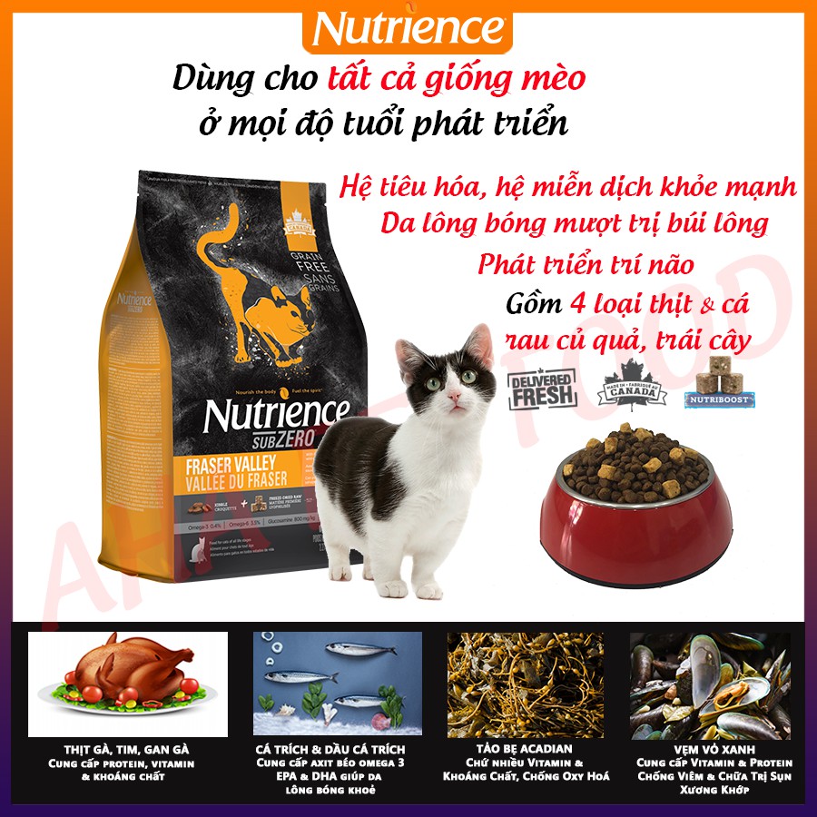 [Ăn Là Thích] Thức Ăn Hạt Cho Mèo Chân Ngắn Munchkin Nutrience Subzero Bao 500g - 4 Loại Thịt Cá, Rau Củ, Trái Cây