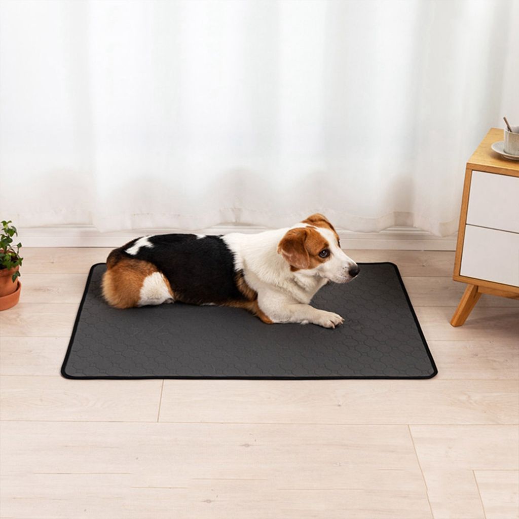 Thảm lót chống trượt thấm nước có thể giặt sạch và tái sử dụng cho cún cưng
