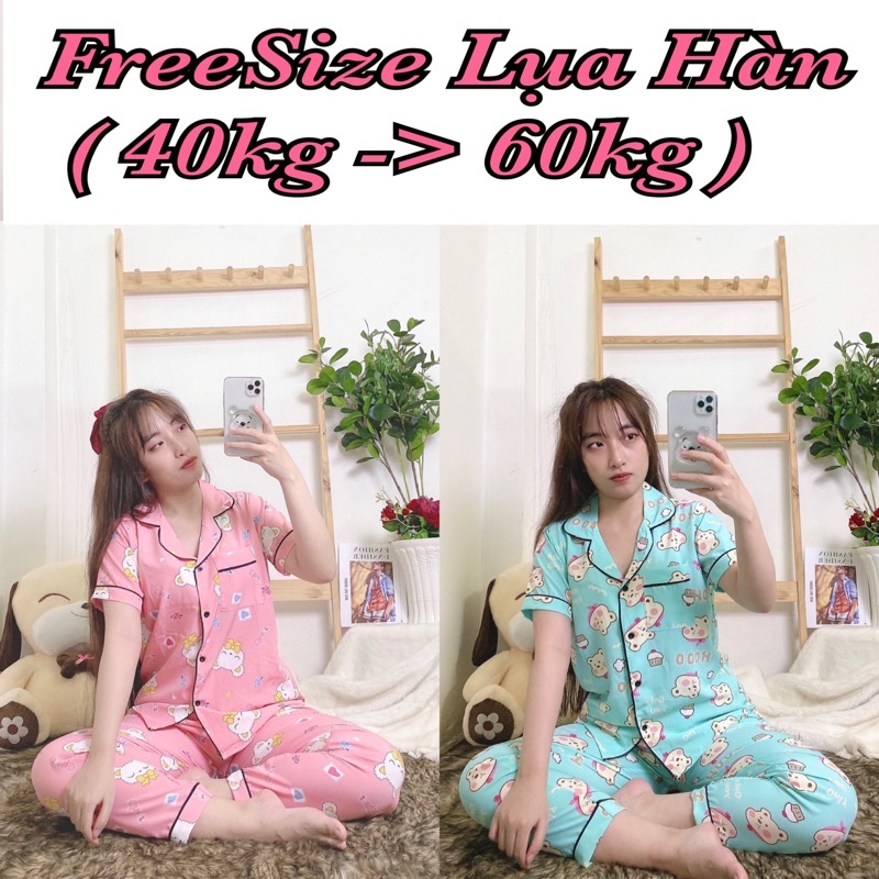 ( Freesize Lụa ) Đồ Bộ Pijama Lụa  - Tay Ngắn Quần Dài ( Part 1 )