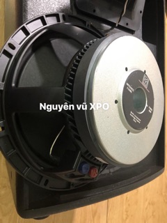 Loa martin F12
