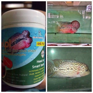 Thức ăn lên đầu cho cá la hán - Cz1 Help Kok 100g (Hàng Thái Lan)