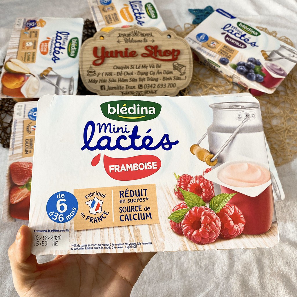 [Lẻ 1 hộp] Sữa chua nguội Bledina Pháp (date 9/2021)