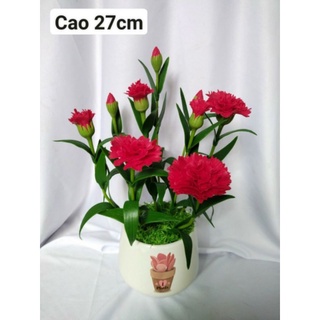 Chậu hoa cẩm chướng đất sét