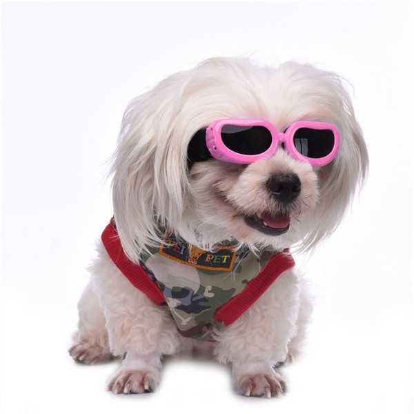 Water-Proof Multi-Color Pet Dog Sunglasses Eyewear Protection Goggles Small Dog