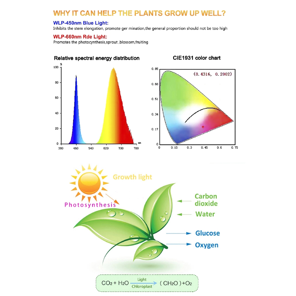 Bóng đèn LED quang phổ 220V E27 30W 50W 80W chuyên dụng tiện lợi