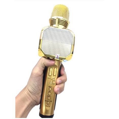 [Mã ELHACE giảm 4% đơn 300K] Mic hát Karaoke SD-10 SDRD