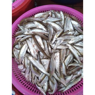 Cá thính cá mương Lập Thạch Vĩnh Phúc 1kg