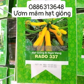 Hạt giống Bí ngòi vàng (1g)