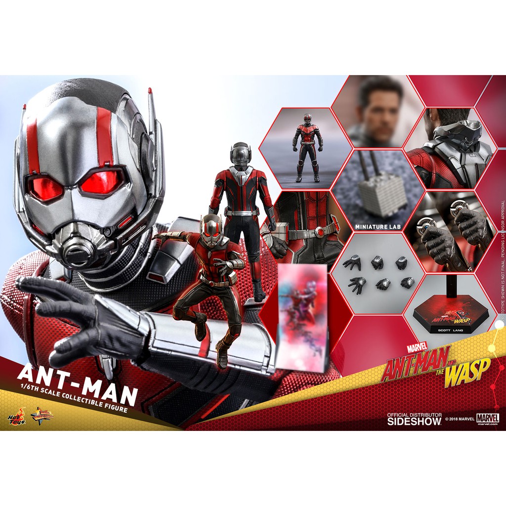 Mô hình Hot Toys Ant Man 3.0 1/6