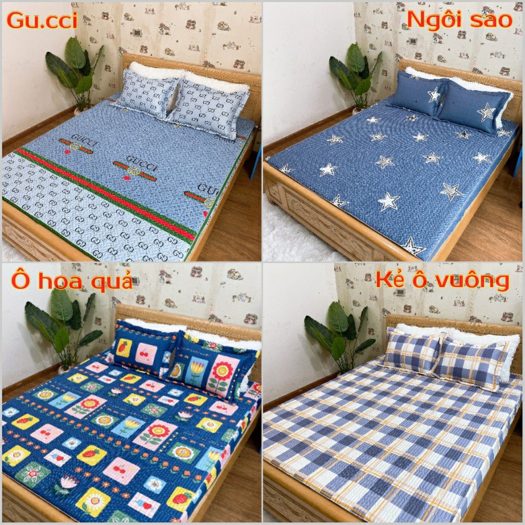 Bộ ga chun trần bông và 2 vỏ gối, ga giường cotton 100% đủ size nệm 1m2 1m4 1m6 1m8 2m2 Dreamhomedding | BigBuy360 - bigbuy360.vn