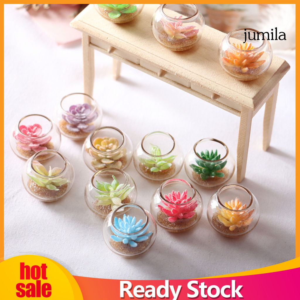 Chậu Cây Mọng Nước Mini Trang Trí Nhà Búp Bê