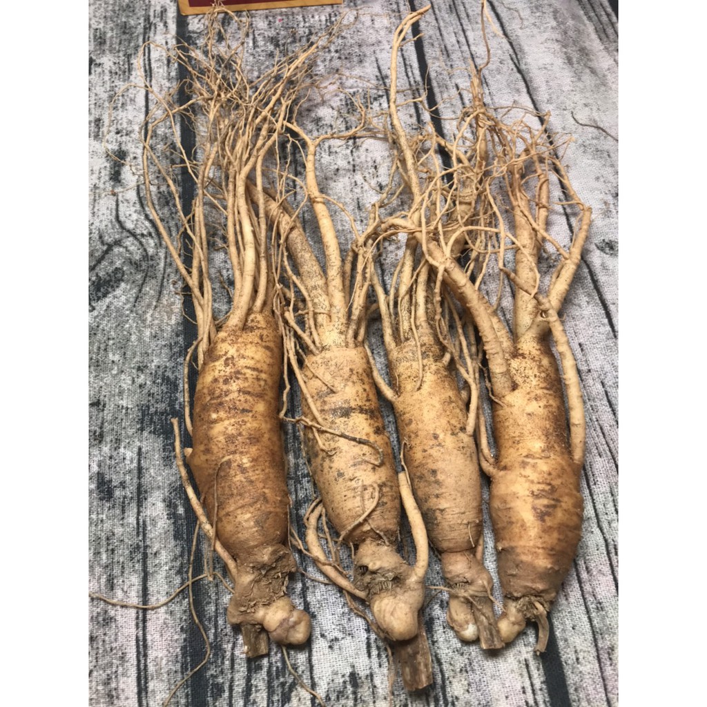 set 2 củ sâm tươi hàn quốc | BigBuy360 - bigbuy360.vn
