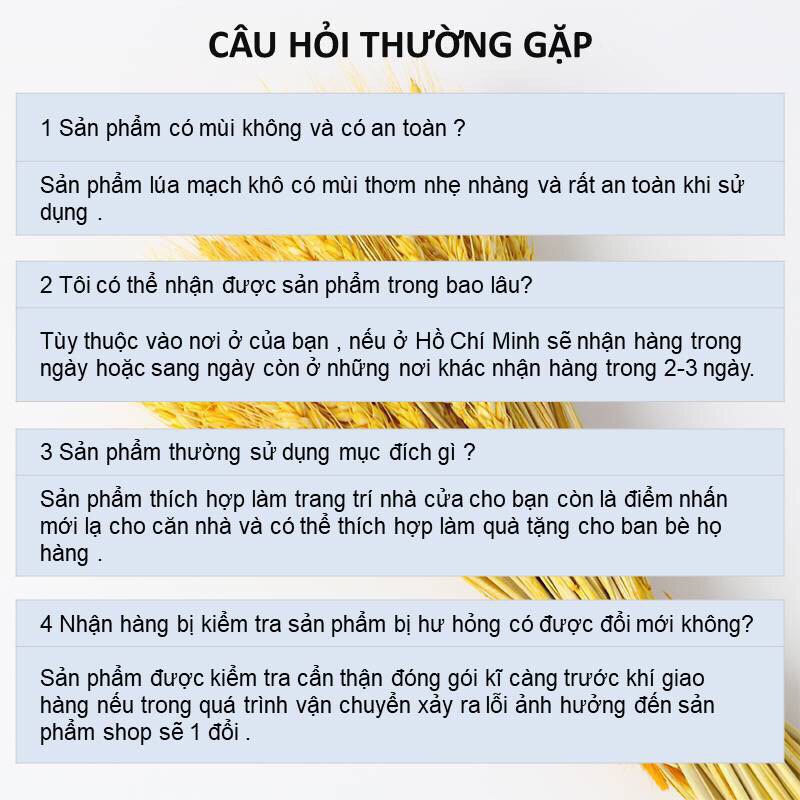 Lúa mạch vintage decor, hanmade