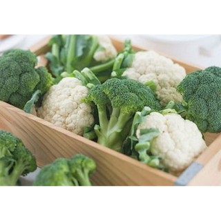 Hạt giống Súp Lơ F1 trắng, xanh 1g