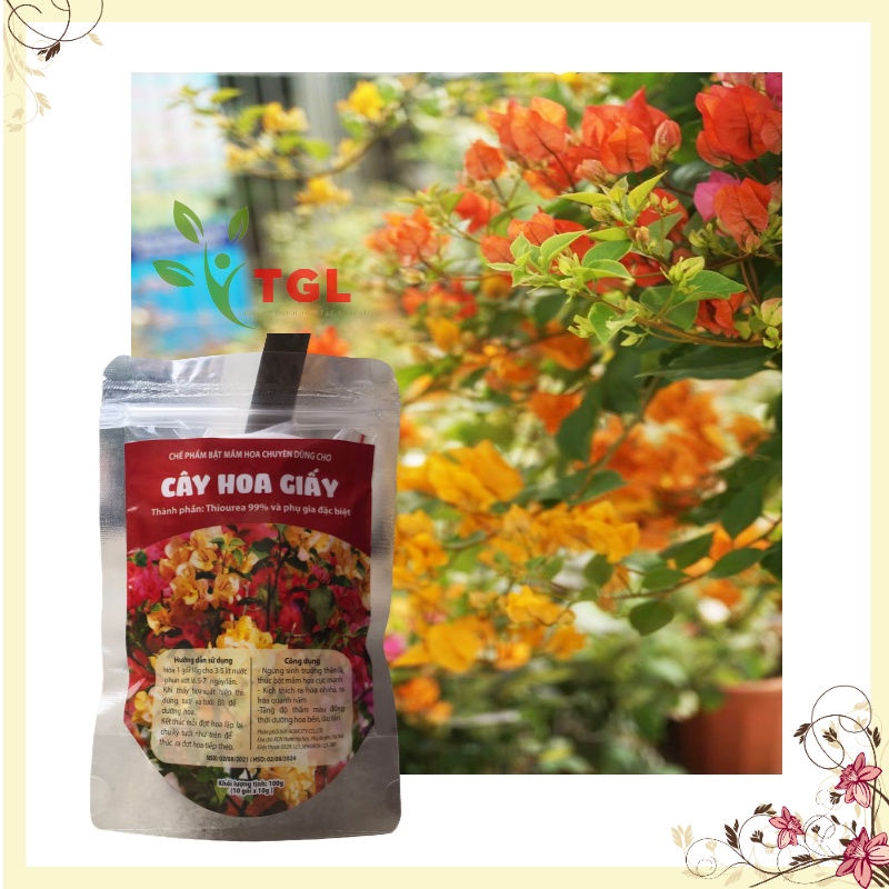 Phân bón hoa giấy, chế phẩm bật mầm hoa, làm cây ngừng sinh trưởng thân lá, ra hoa quanh năm, tăng độ thắm, gói 100gr