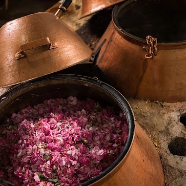 10ml Tinh Chất Xông Mặt Cánh Hoa Sen Cho Da Tái Tạo, Dưỡng Trắng