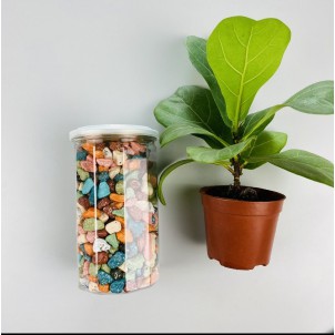 Kẹo Sỏi Đá Nhân Socola 500gr_trathaomocsi