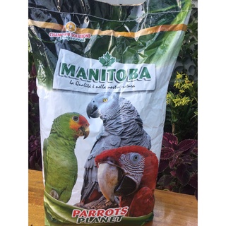 1kg Hạt trộn cho vẹt trung, lớn hàng ý