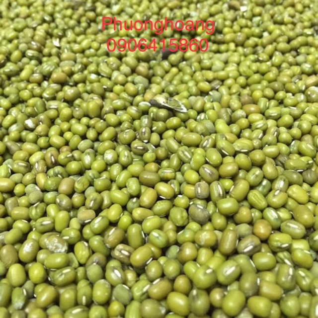 ĐẬU XANH SẼ HẠT NHỎ, ĐẬU XANH MỠ | BigBuy360 - bigbuy360.vn