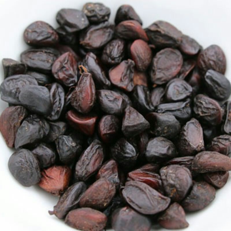 sỉ lẻ hạt dổi nếp rừng