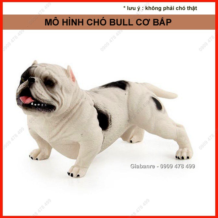 Mô Hình Chó Bull Mặt Xệ Cơ Bắp Giang Hồ - 4680