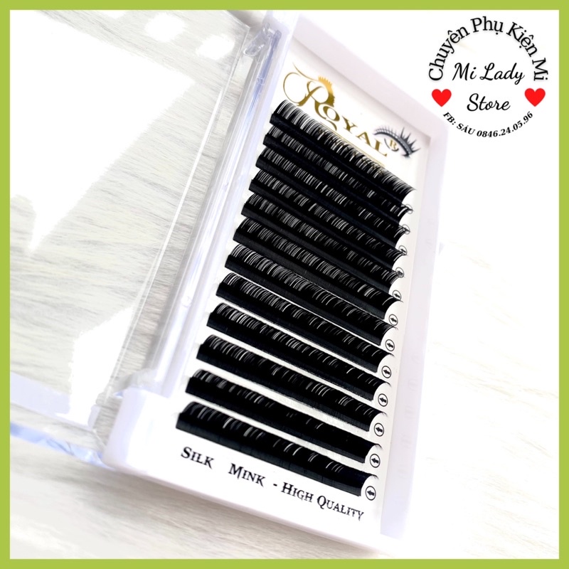 Mi khay ROYAL cao cấp độ cong D 8-15