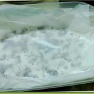 RAU CẢI MẦM THÁI LAN