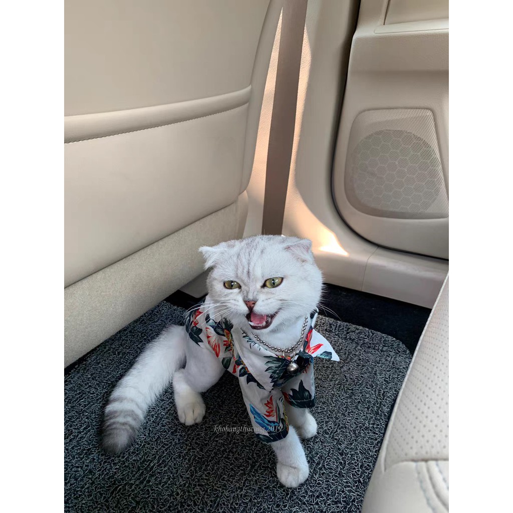 ÁO SƠ MI HOA DỨA- TRẮNG (Size từ 1- 40kg)