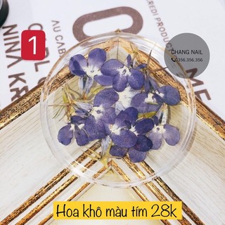 Hoa khô ẩn móng