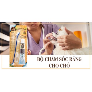 Bộ chăm sóc răng miệng cho chó mèo