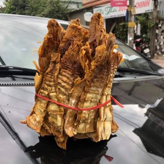 MĂNG VẦU ĐIỆN BIÊN