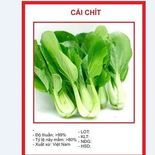 combo 4 gói hạt giống rau cải ( cải ngọt, cai xanh ,cải chíp, cải ngòng )