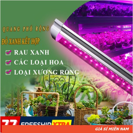 Đèn T8 18w Trồng Rau - Zako