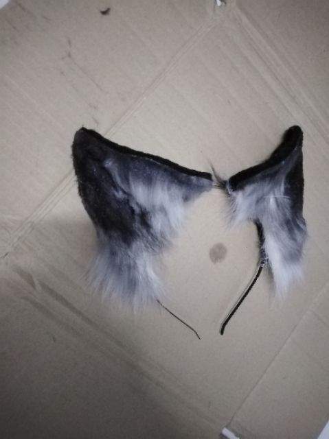 Tai cáo to loại đẹp và đuôi