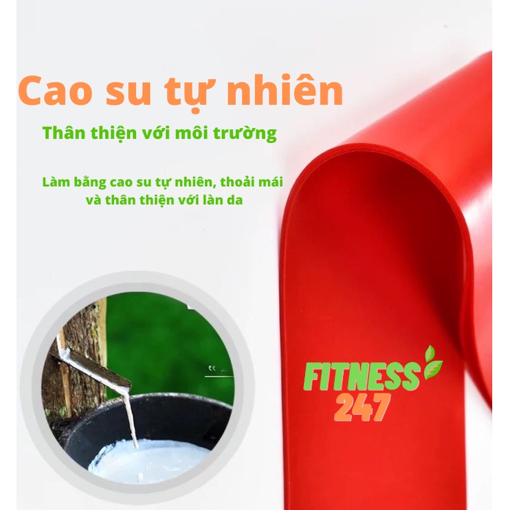 Dây Kháng Lực Miniband Tập Mông Chân Đùi, Dây Cao Su Tập Yoga Gym Co Dãn Đàn Hồi Cao Cấp Fitness247( Tặng Kèm Túi Đựng)