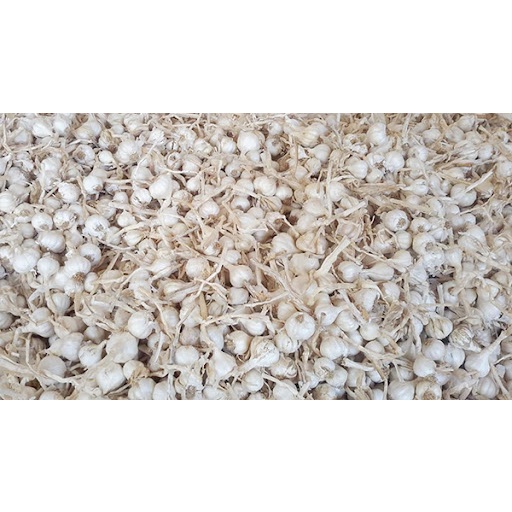 Hành tím và tỏi Lý Sơn .