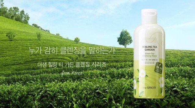 Nước tẩy trang the saem 500ml