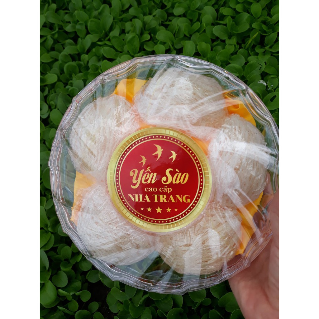 Yến tinh Khánh Hòa