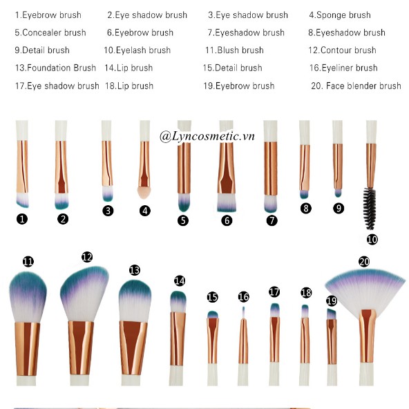 Set cọ maange vỏ sò 20 cây