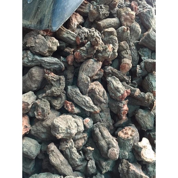 Củ hà thủ ô đỏ thái lát 1 kg chưa sơ chế hàng đẹp