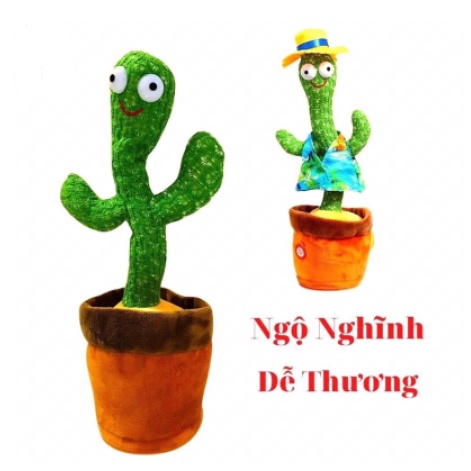 Cây sương rồng nhảy múa, ghi âm