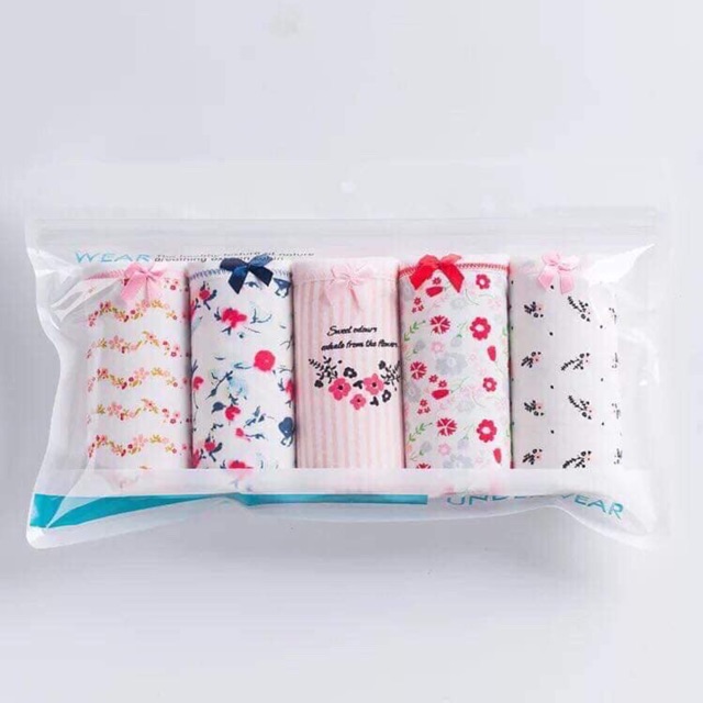 Túi Zip 5 Quần Lót Nữ Coton Siêu Kute