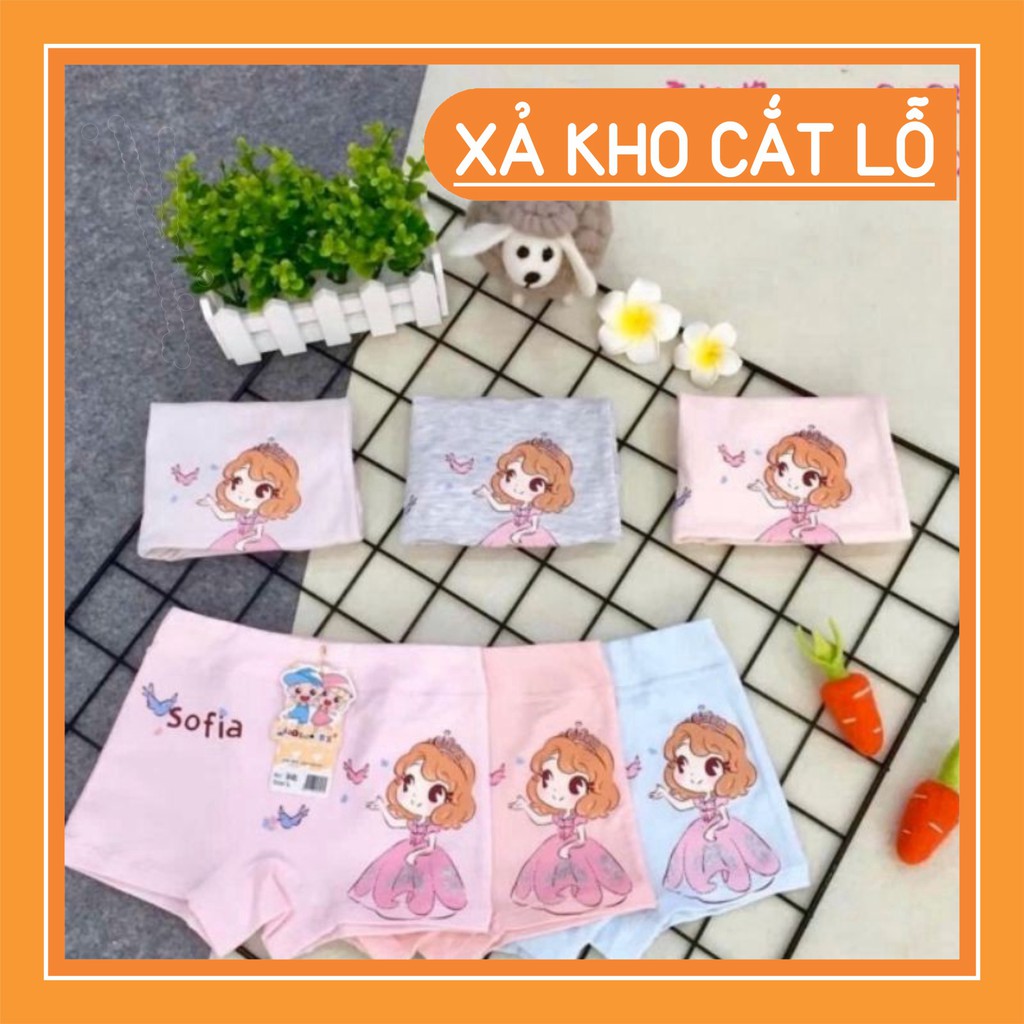 Sỉ Sét 5 Quần Chip Đùi Bé Gái Hàng Quảng Châu Cao Cấp Vải Cotton Siêu Mát, Dễ Thương Rẻ Nhất Thị Trường