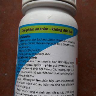 Men vi sinh ủ cá và đậu tương
