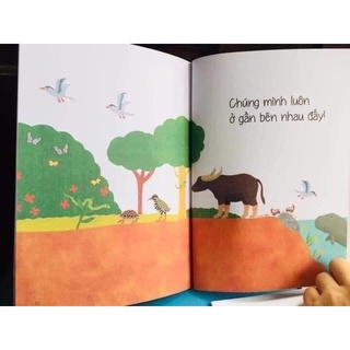 ( Xả kho giá sốc ) Ehon Ai sau lưng