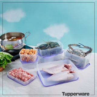 Bộ hộp trữ đông Tupperware Freezermate Essential màu tím