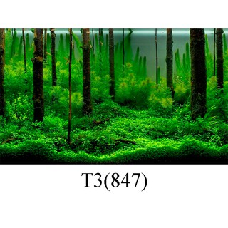 Tranh dán bể cá 3d nhiều kích thướt ( 60x40, 80x40, 80x50 , 90x50, 100x50...)
